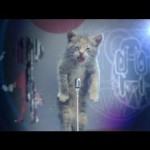 Un chat chante Creep de Radiohead