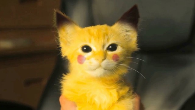 Transformer un chaton en Pikachu