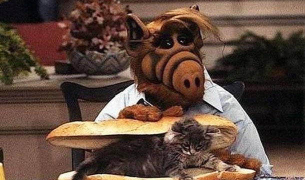 Alf se fait un sandwich au chat