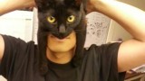 Il se transforme en Batman grâce à son chat