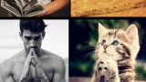 Des chats imitent des mannequins hommes