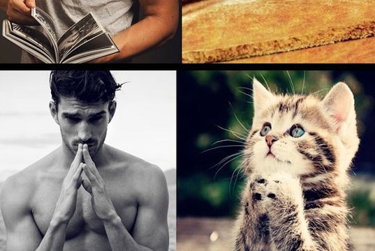 Des chats imitent des mannequins hommes