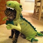 Un déguisement de dinosaure pour chat