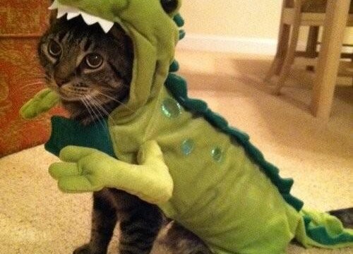 Un déguisement de dinosaure pour chat