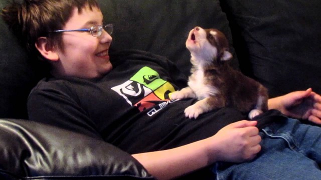 Un enfant apprend à un chien à hurler !