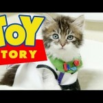 Un remake de Toy Story rejoué avec des chatons !