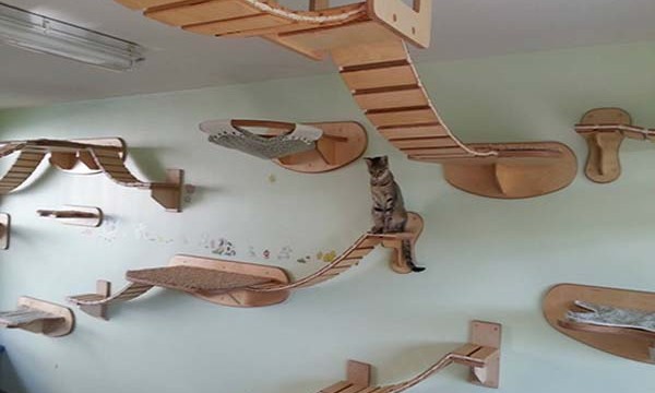 Un appartement paradisiaque pour chat