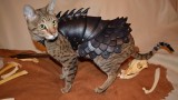 Un déguisement d’armure pour chat