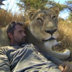 Un homme fait des calins à des lions en GoPro