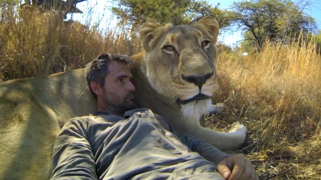 Un homme fait des calins à des lions en GoPro