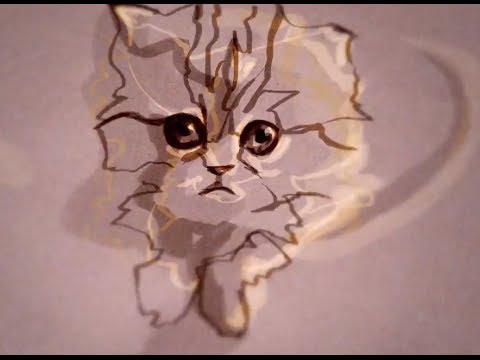 Un clip avec des chats animés