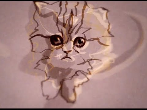 Un clip avec des chats animés