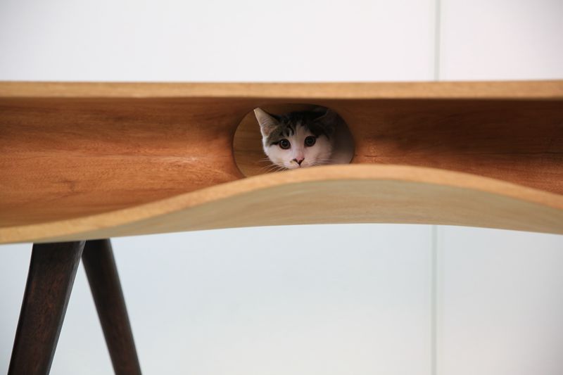 chat-table