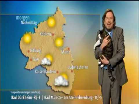 Un Chat interrompt la Météo sur une Chaîne allemande !