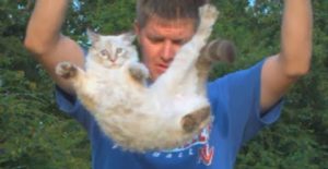 La chute d'un chat filmée au ralenti (et retombant sur ses pattes !)