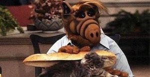 Alf se fait un sandwich au chat