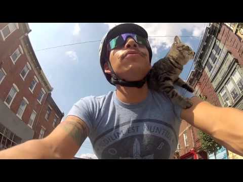 Emmener son chat en vélo presque partout !