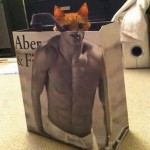 Un chat dans un sac Abercrombie
