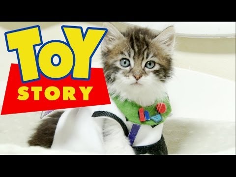 Un remake de Toy Story rejoué avec des chatons !