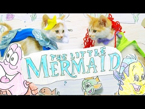 La petite sirène rejoué par des chatons !