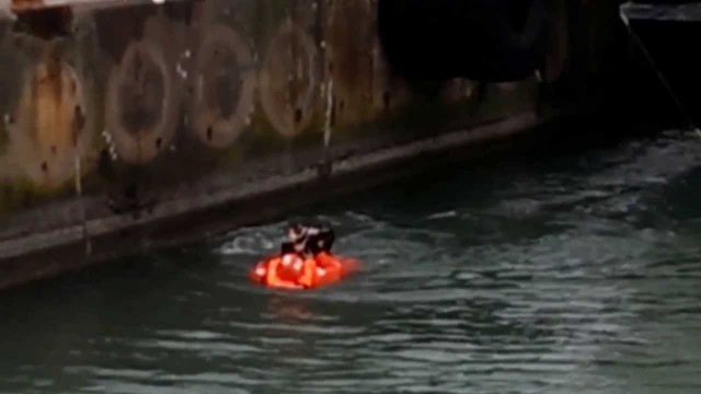 Un chat sauvé de sous un ferry en Suède