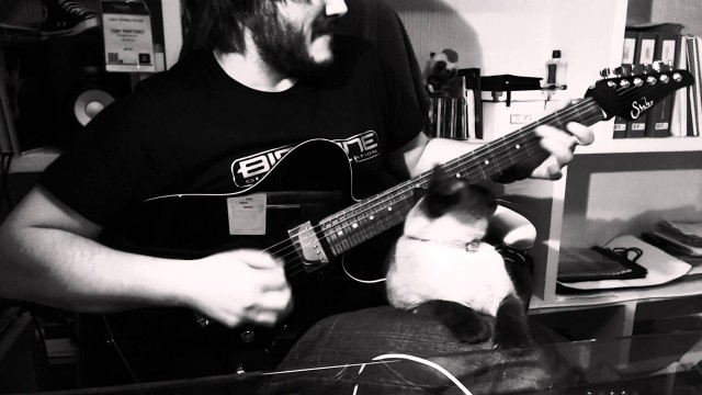 Un Rocker Veut Jouer. Un Chat Veut la Bagarre.