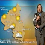 Un Chat interrompt la Météo sur une Chaîne allemande !
