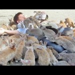 Un Homme littéralement Recouvert de Lapins
